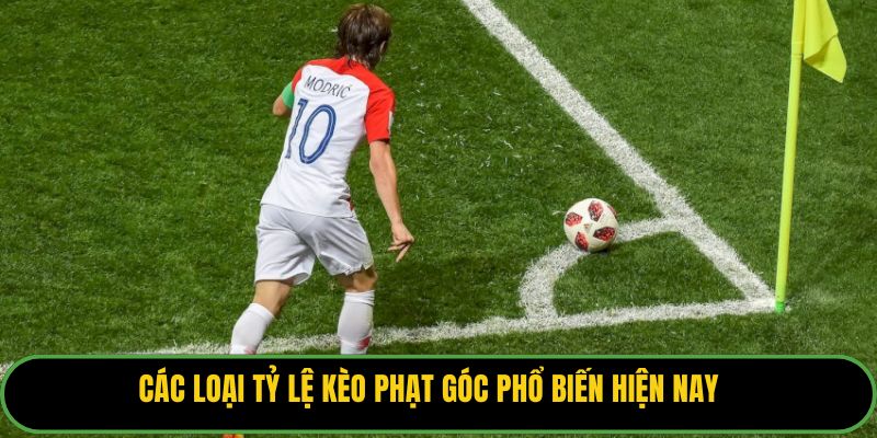 Các loại tỷ lệ kèo phạt góc phổ biến hiện nay