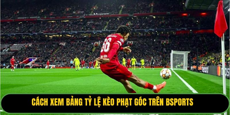 Cách xem bảng tỷ lệ kèo phạt góc trên Bsports