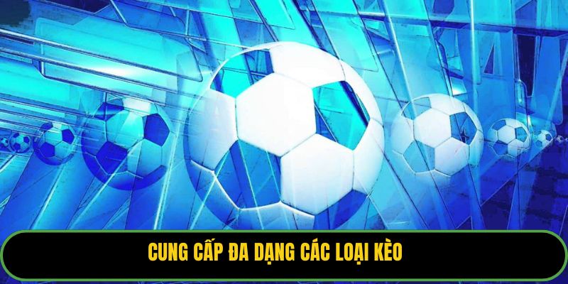 Cung cấp đa dạng các loại kèo 