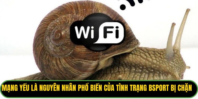 Mạng yếu là nguyên nhân phổ biến của tình trạng Bsport bị chặn