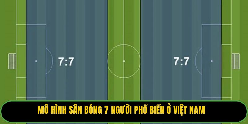 Mô hình sân bóng 7 người phổ biến ở Việt Nam.