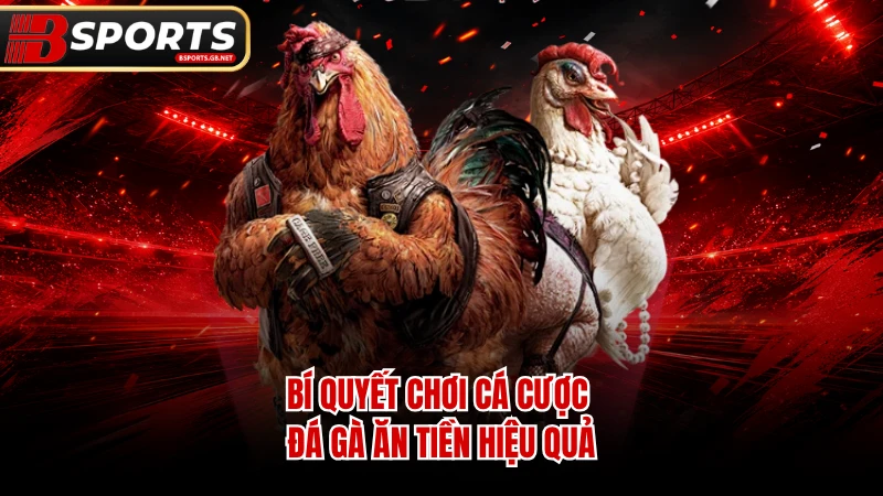 Bí quyết chơi cá cược đá gà ăn tiền hiệu quả.