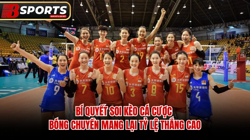 Bí quyết soi kèo cá cược bóng chuyền mang lại tỷ lệ thắng cao.