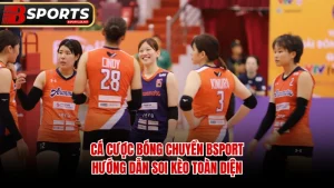 Cá Cược Bóng Chuyền