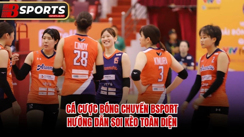 Cá Cược Bóng Chuyền