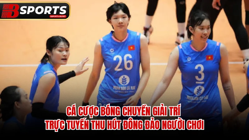 Cá cược bóng chuyền giải trí trực tuyến thu hút đông đảo người chơi.