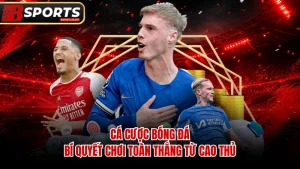 Cá Cược Bóng Đá