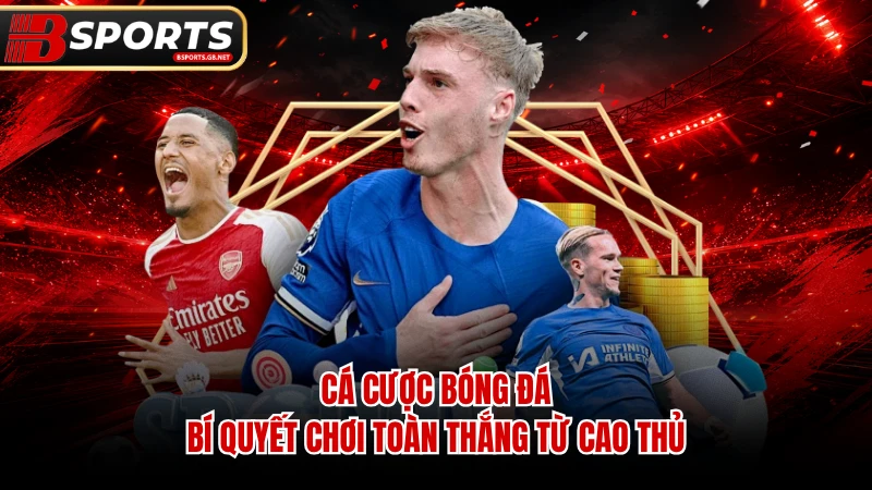 Cá Cược Bóng Đá