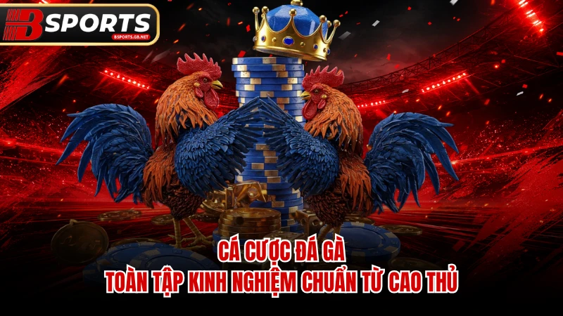Cá Cược Đá Gà