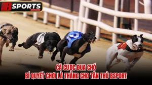 Cá Cược Đua Chó