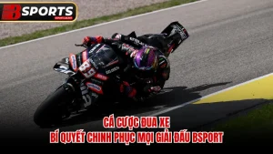 Cá Cược Đua Xe