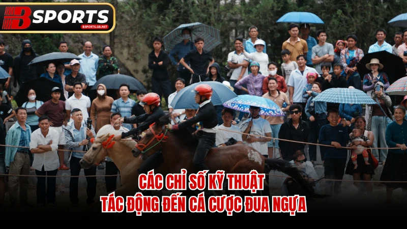 Các chỉ số kỹ thuật tác động đến cá cược đua ngựa.