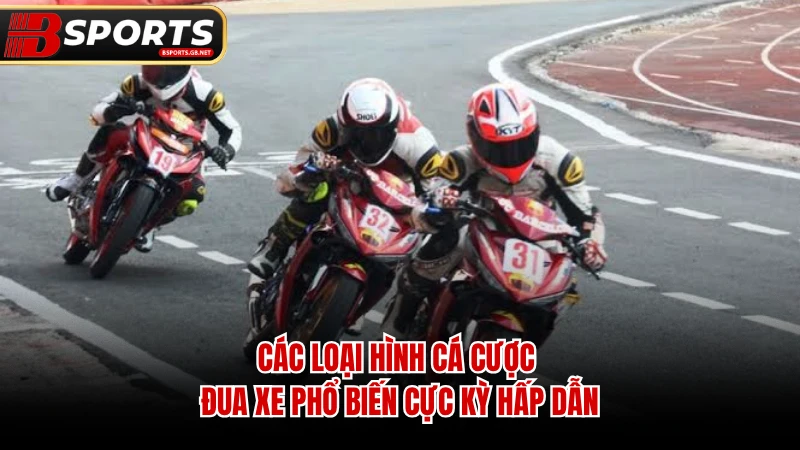 Các loại hình cá cược đua xe phổ biến cực kỳ hấp dẫn. 