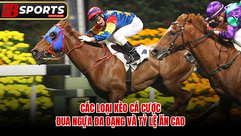 Các loại kèo cá cược đua ngựa đa dạng và tỷ lệ ăn cao.