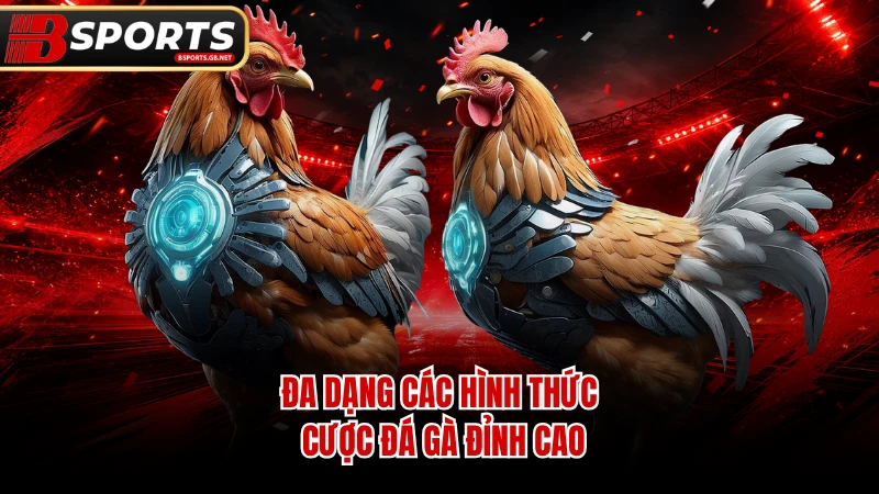 Đa dạng các hình thức cược đá gà đỉnh cao.