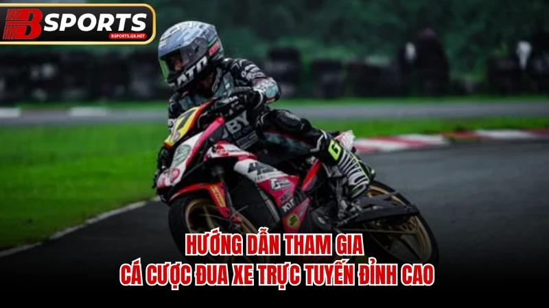 Hướng dẫn tham gia cá cược đua xe trực tuyến đỉnh cao.