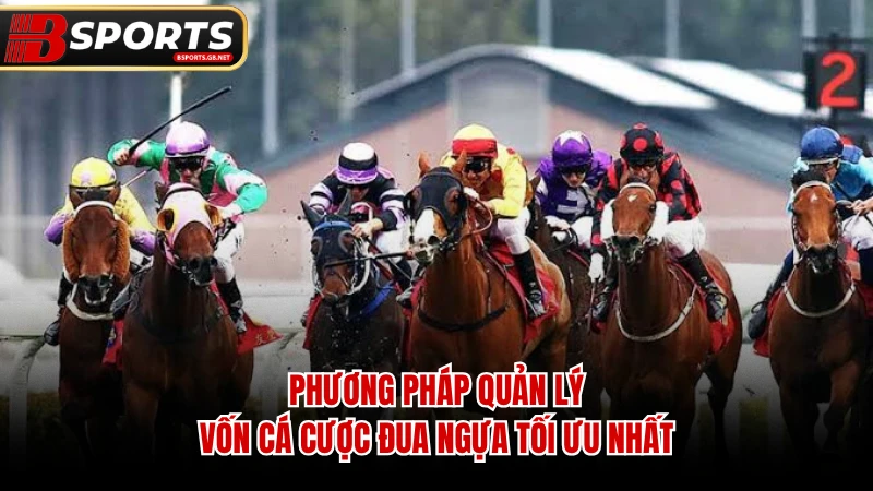 Phương pháp quản lý vốn cá cược đua ngựa tối ưu nhất.