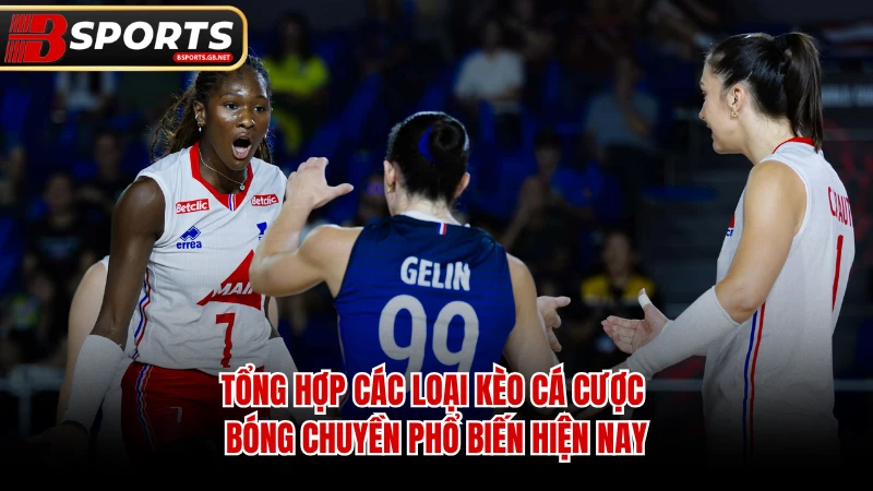 Tổng hợp các loại kèo cá cược bóng chuyền phổ biến hiện nay.